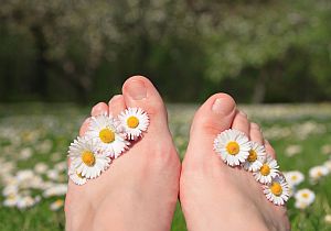 Body Quotes - Daisy Toes in a Field