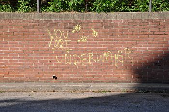 Trusting Yourself - Graffiti on Brick Wall "You are Underwater"